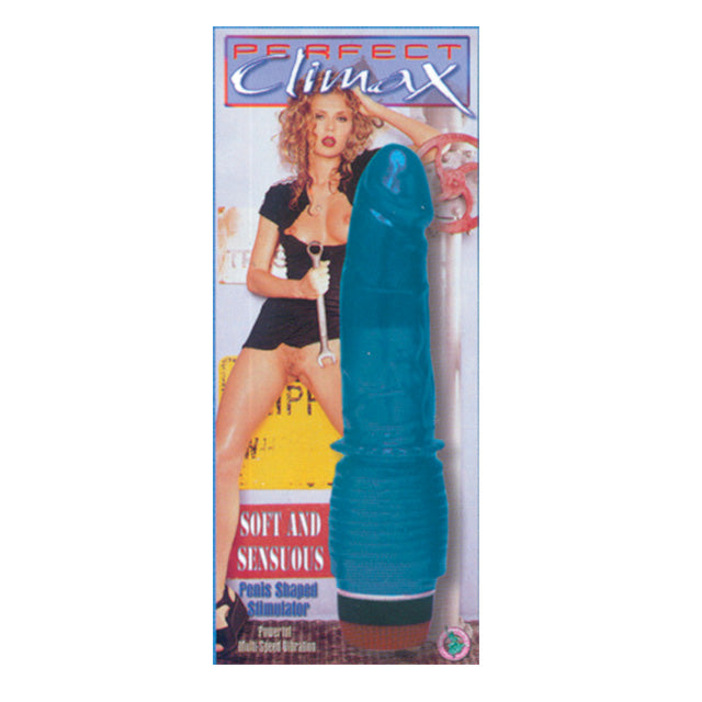 '++Perfect Climax Vibe / Blue