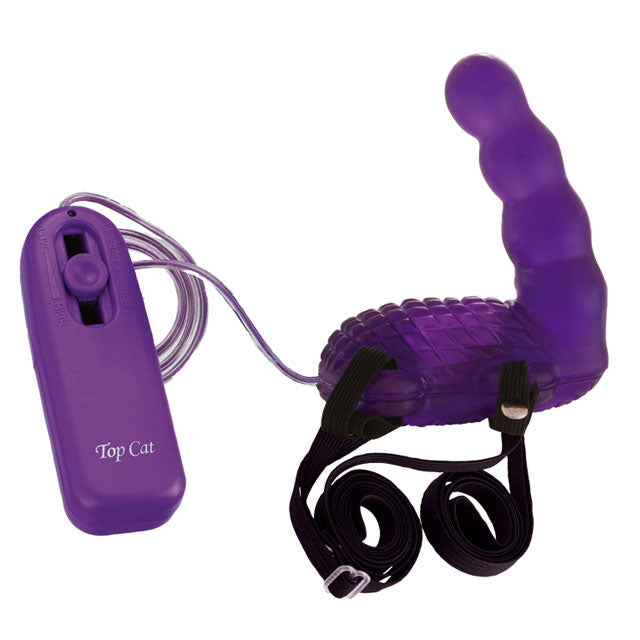 '++Long Neck Tortoise-Purple +