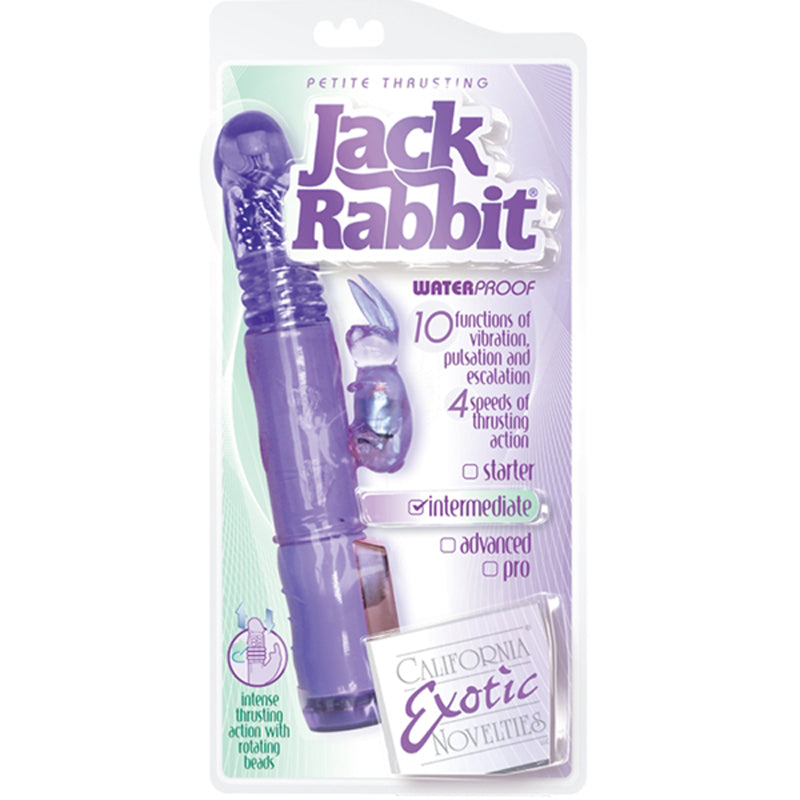 Petite Thrusting Jack Rabbit - Purple