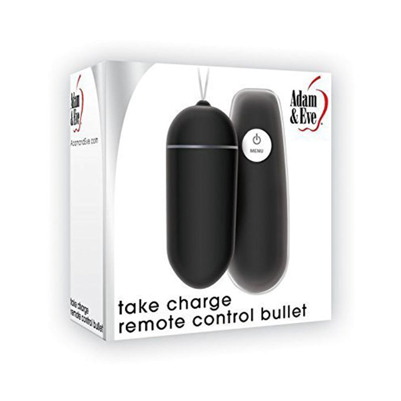 A&E Take Charge Remote Control Bullet 10 Speed/Function Waterproof